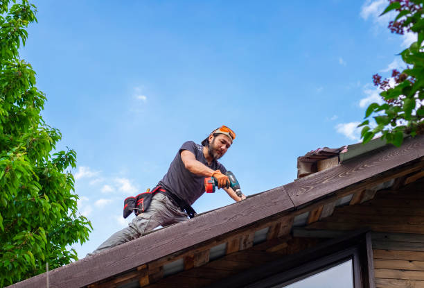 Best Roof Maintenance and Cleaning  in Orinda, CA